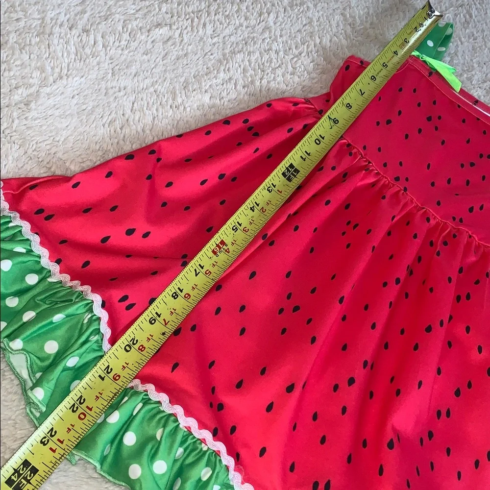 Rylee Faith Watermelon Print Dress NWOT 4/5